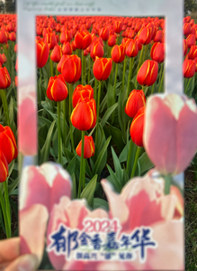 接下来，你将在红河看到……