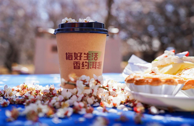 梅韵润洱源 文旅启新程——洱源县以“梅”为媒 绘就文旅发展新图景