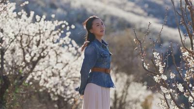 世界花园·楚雄之旅丨万亩樱桃花海盛放！武定大石房邀你共赴春日之约