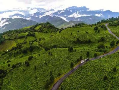 暖冬楚雄·回家过年丨2026新春文旅活动⑥：寻访双柏秘境，笙舞狂欢，共赏美景