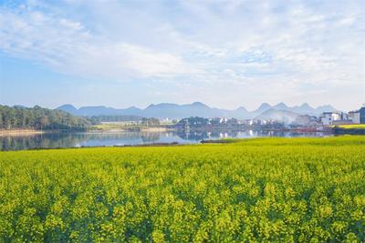 旅居云南 世界花园丨此心安处是吾乡 文山旅居客的过年图景