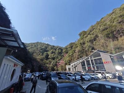 玉溪春节文旅市场火热开局 接待游客354万人次