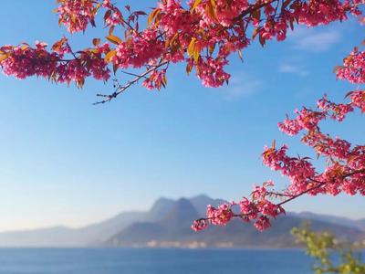 玉溪《滇中诗联》2026年作品赏析（第2期）