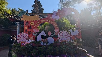 世界花园｜持续至3月9日！第十五届昆明昙华寺牡丹花展开展