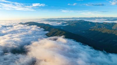 冬日来双柏！赴一场云海、山茶与美食的暖冬之约