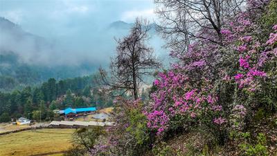 世界花园 怒江过年 | 泸水市深度游线路攻略