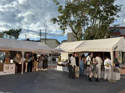 我在普洱过大年丨十大活动拼出不一样的边地年味