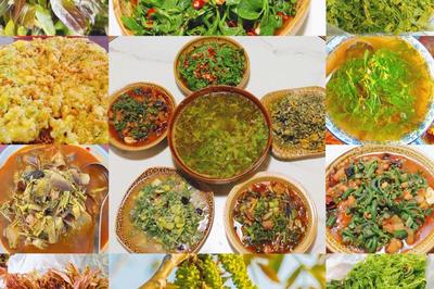 来双柏鄂嘉，用舌尖留住春天的味道