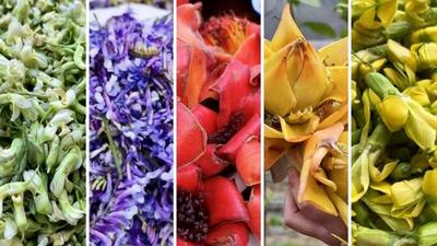 世界花园·玉溪之旅丨玉溪的春天，是吃进嘴里的“花样年华” 