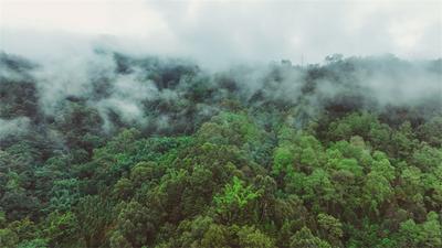秘境云南 游在红河丨山水画卷里的春日浪漫