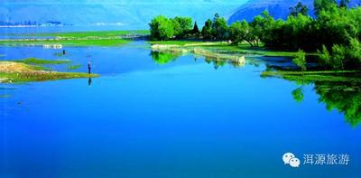 大理美好生活季 | 洱海源头赏花正当时