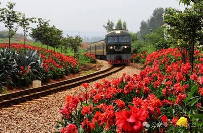 在开远，读懂一条铁路与一座城的百年守望