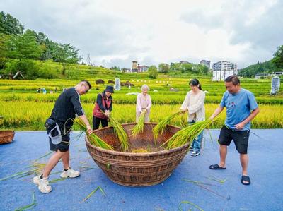 景观纯美、产业新特——云南康旅集团用“玛御谷模式”擘画旅居云南新图景