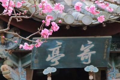 玉溪《滇中诗联》2026年作品赏析（第5期）