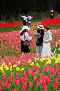 楚雄春日野趣地图上线！每一处都想立刻出发