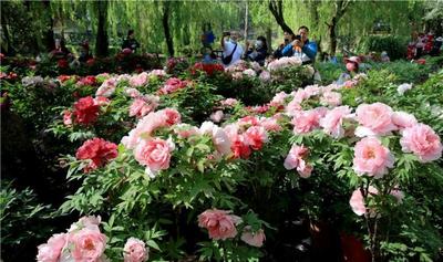 清明、州庆出游！楚雄这些地方既美又好玩，快收藏~