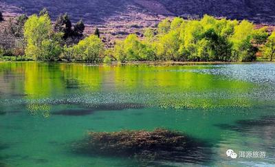 大理美好生活季 | 洱海源头赏花正当时