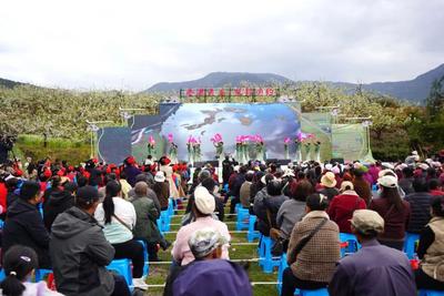 2026大理·云龙梨花周暨火腿美食周开幕