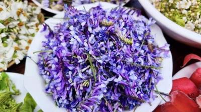 世界花园·玉溪之旅丨玉溪的春天，是吃进嘴里的“花样年华” 