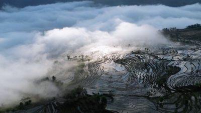 春暖花开游云南丨来红河县，看梯田织锦、观花海漫歌、赏非遗歌舞