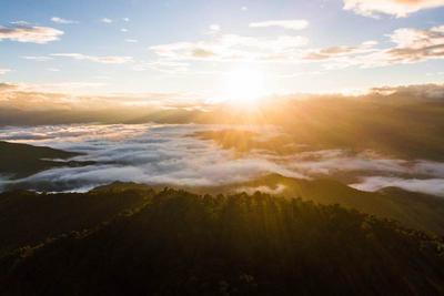 春花茶咖游云南丨一城一花一茶咖，遇见云南的温柔