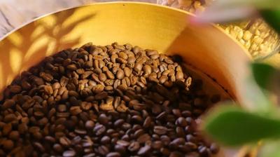 春花茶咖游云南丨一城一花一茶咖，遇见云南的温柔