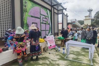 巾帼法治护航  维权智享芳华 ——永仁县妇联开展2026年“三八”维权宣传月活动