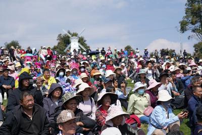 多彩非遗闹元宵！2026年永仁赛装群众文化品牌推广周活动举行