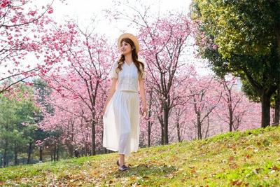 旅居红河 宝藏小城｜一到弥勒，就快乐！