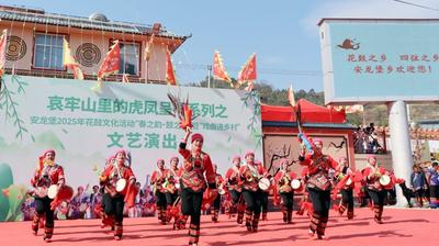 农历二月二，双柏安龙堡花鼓盛会邀您共狂欢！