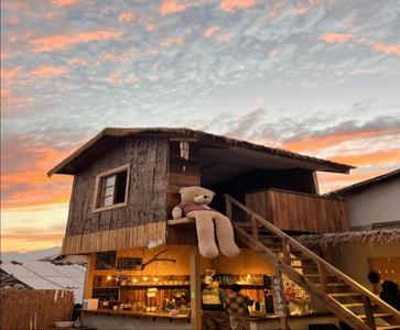 春日“趣”游玉溪丨玉溪“村咖”地图，每家都好喝又出片！