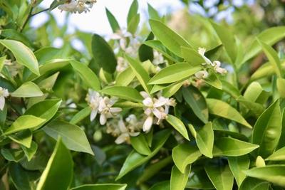 春日“趣”游玉溪丨玉溪春日Color Walk：在五彩斑斓中，邂逅20℃的浪漫