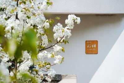 春夏秋冬，山水云间