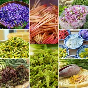 来红河，尝春日味道！