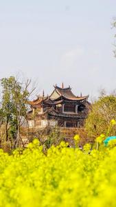 莫负好春光，红河还有这些惊喜等你来打卡！