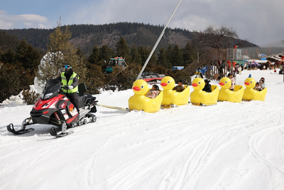 迪庆依托优质冰雪资源 激活文旅发展新动能