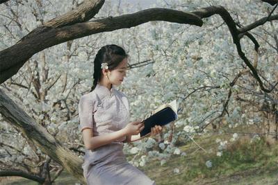 春满红河，全域赏花地图请查收！