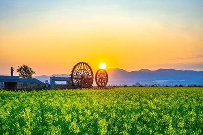 莫负好春光，红河还有这些惊喜等你来打卡！