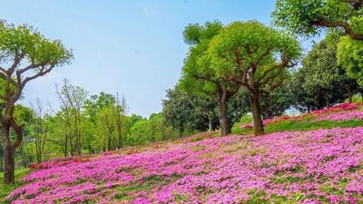 本周末，红河继续过节！