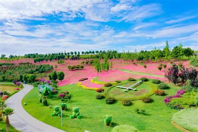 旅居红河 宝藏小城｜一到弥勒，就快乐！