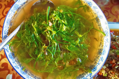 来双柏鄂嘉，用舌尖留住春天的味道