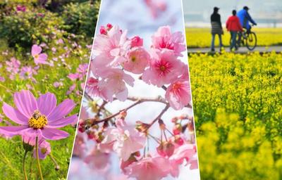 莫负好春光，红河还有这些惊喜等你来打卡！