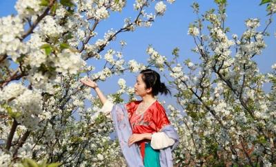 三月的楚雄，风里一半是花香，耳畔一半是欢歌