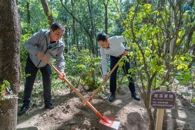 蝴蝶泉边，再续“蝶缘”