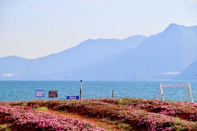 五一“嗨”游玉溪｜精品旅游线路推荐——“玉”见繁花浪漫之旅