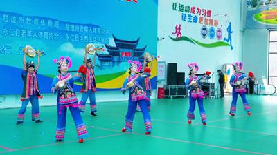 2026年云南省老年人匹克球比赛在楚雄永仁开赛