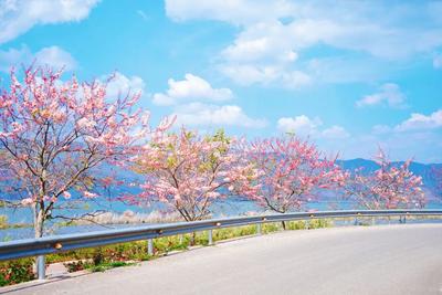 四月，来红河！