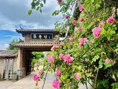 楚雄南华：在花海湖光间遇见和美田园