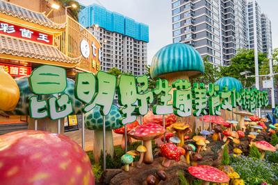 五一相约昆明关上 品“菌香茶韵” 享“烟火春城”
