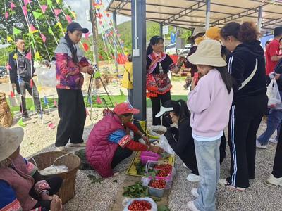 五一“嗨”游玉溪｜江川安化·早谷田樱桃节：赴春日之约  尝樱桃之甜